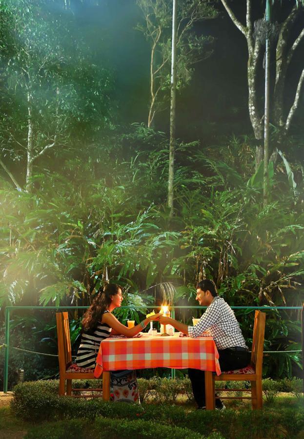 Bed and Breakfast Eagle Mountain Munnar Exteriér fotografie